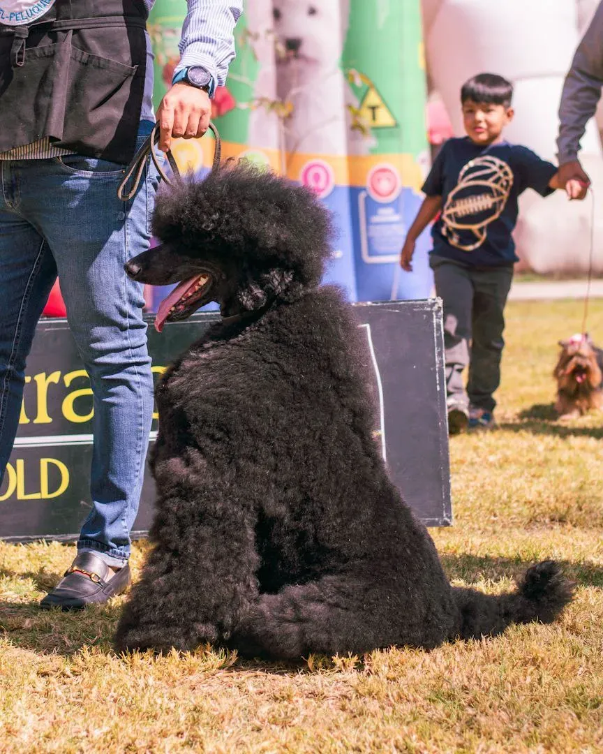 Foto 14 de Cocha Pet