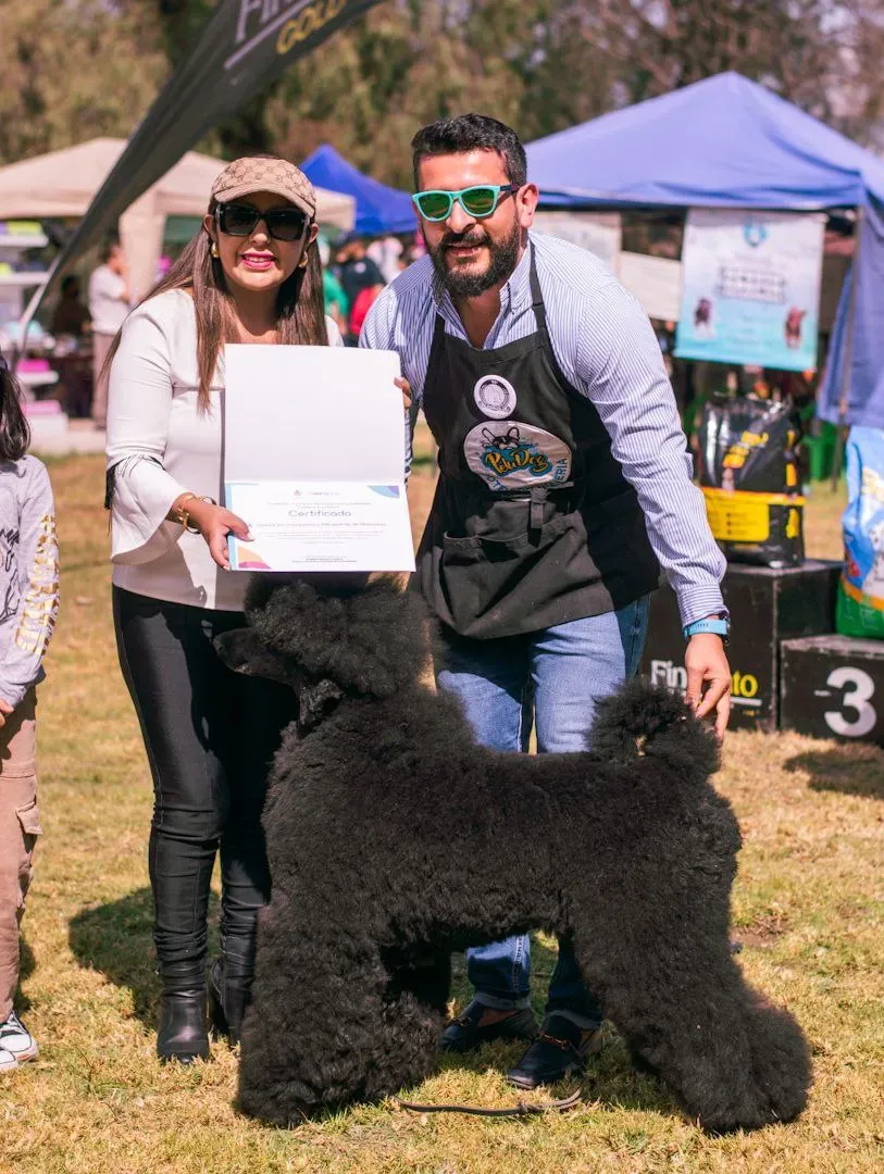 Foto 17 de Cocha Pet