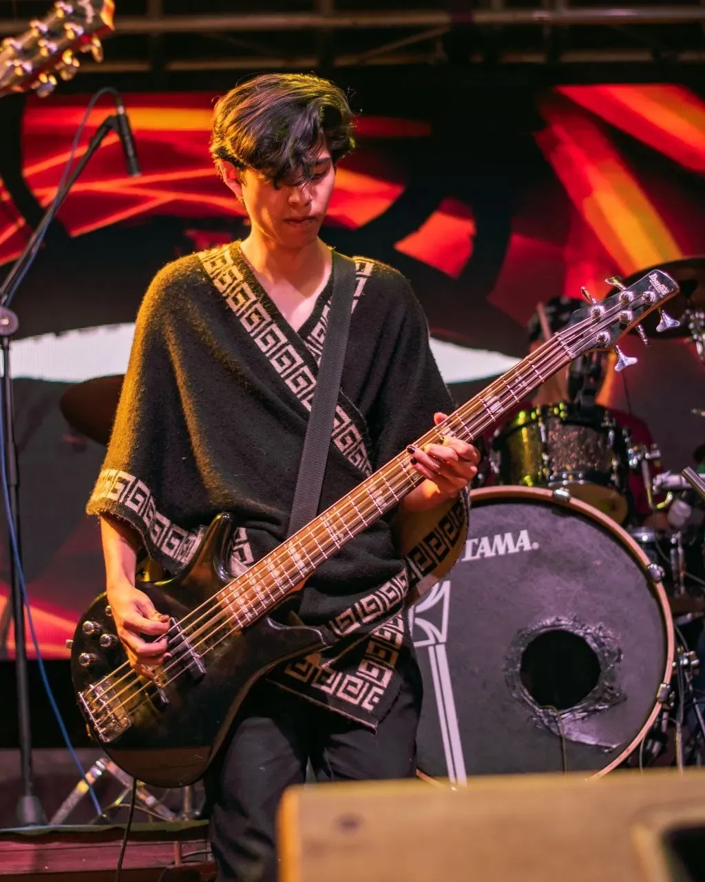 Foto 38 de Fiesta de la Música Part. 2