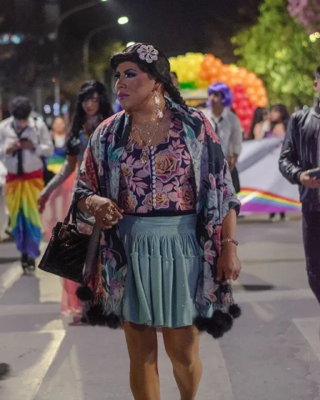 Foto 8 de Marcha del Orgullo