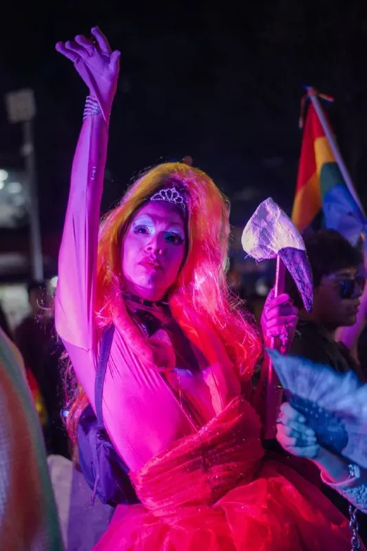 Foto 7 de Marcha del Orgullo