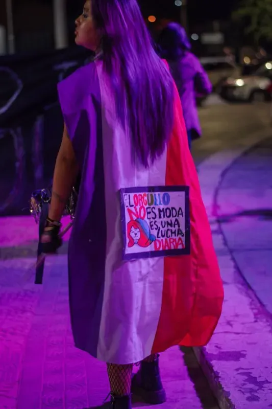 Foto 5 de Marcha del Orgullo