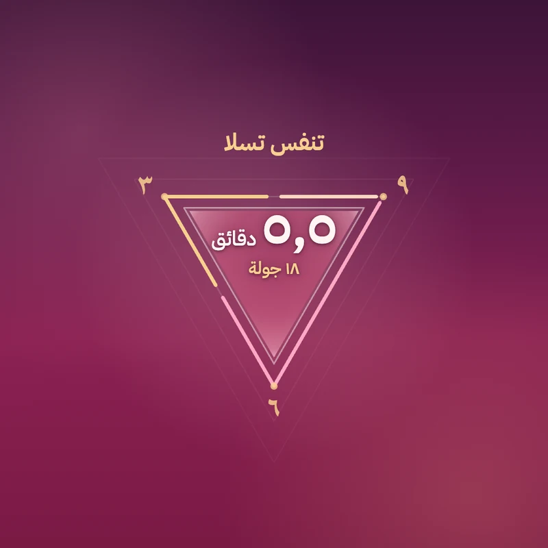 ١٨ جولة من تنفس تسلا