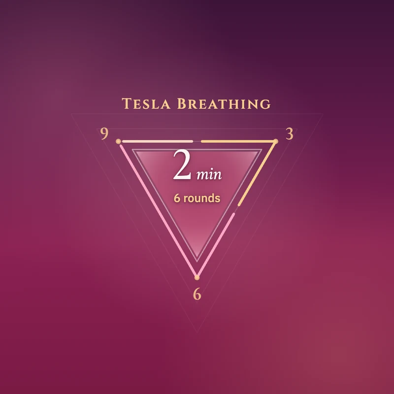 6 Rounds of Tesla Breathing