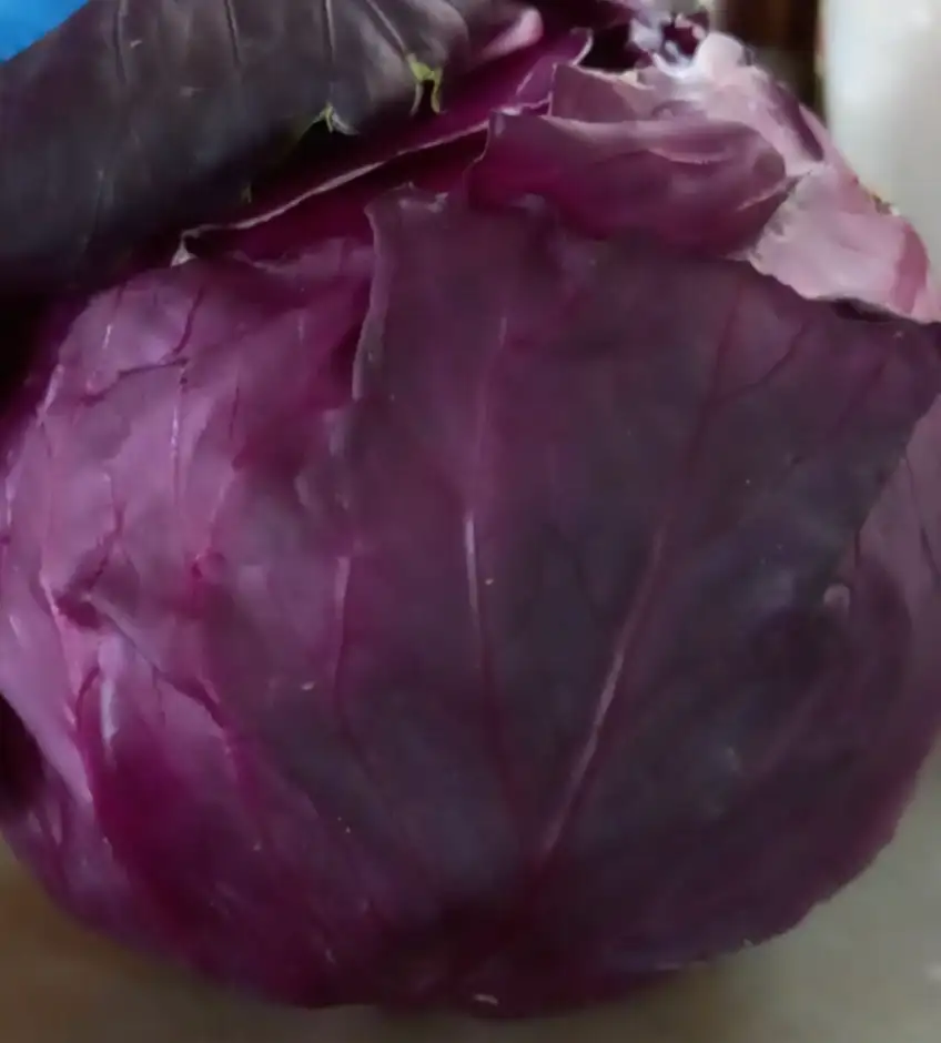 Red Cabbage