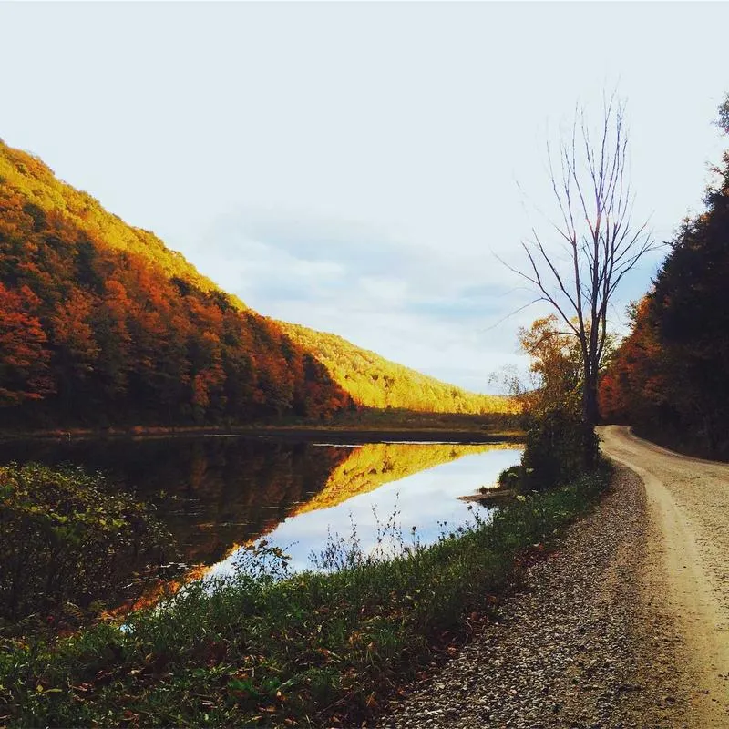 PS5 ディスクエディション - 画像 3