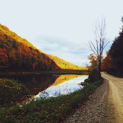 PS5 ディスクエディション - 画像 4