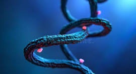 AlphaFold: cuando el algoritmo entendió el lenguaje de la vida.