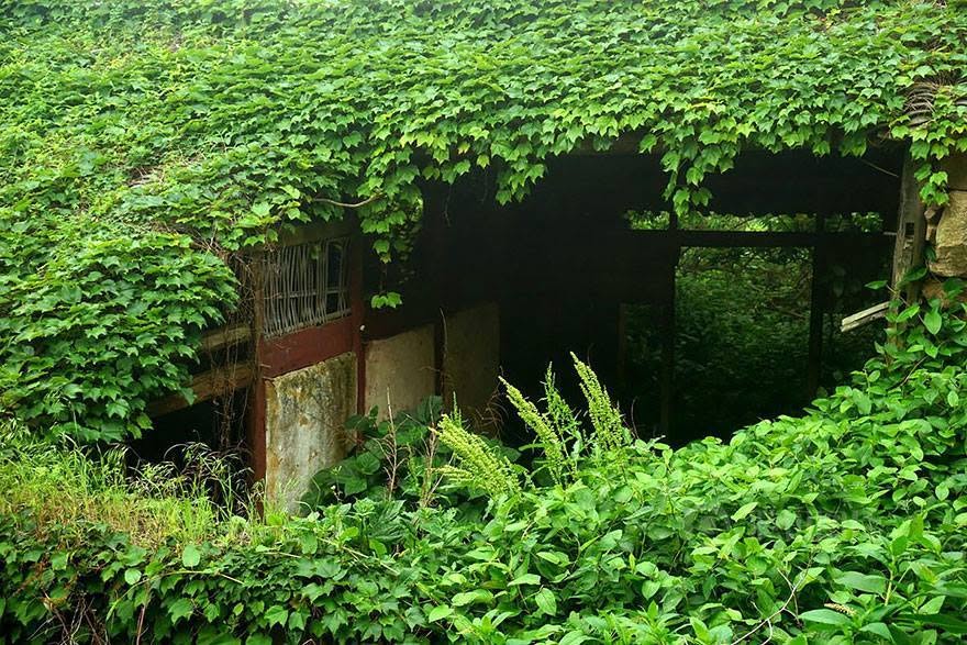 Guardianes del bosque muy seguro habitan ahora, esta casa.