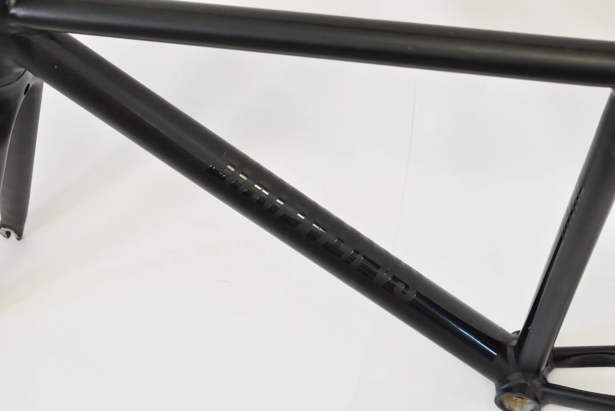 Santafixie Raval — 4