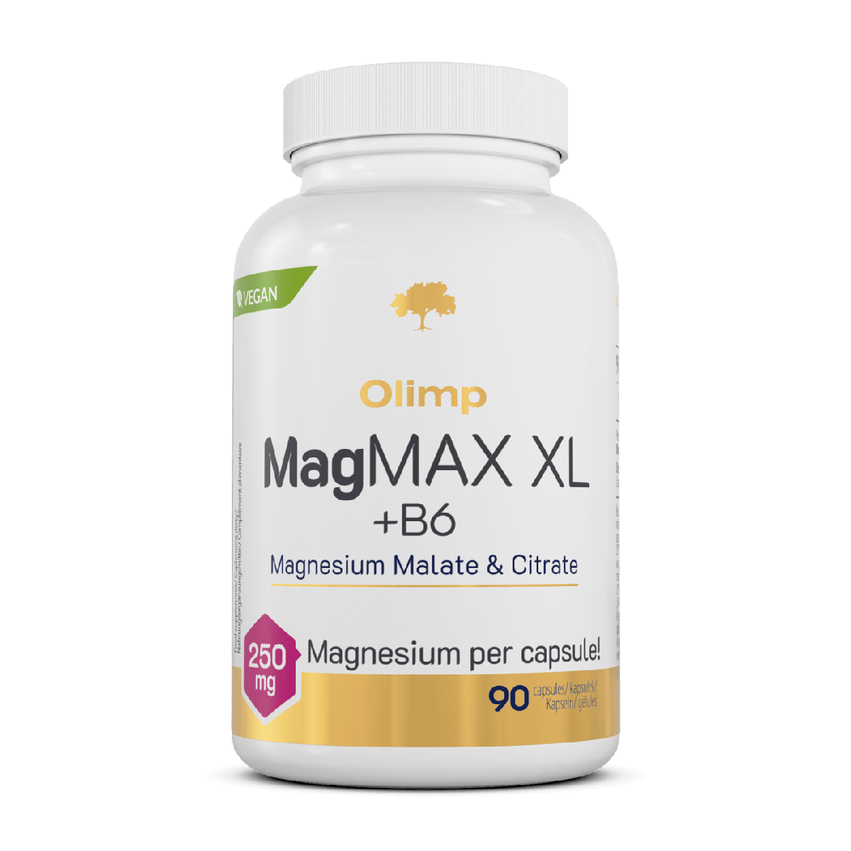 MagMax XL + B6 — 90 caps