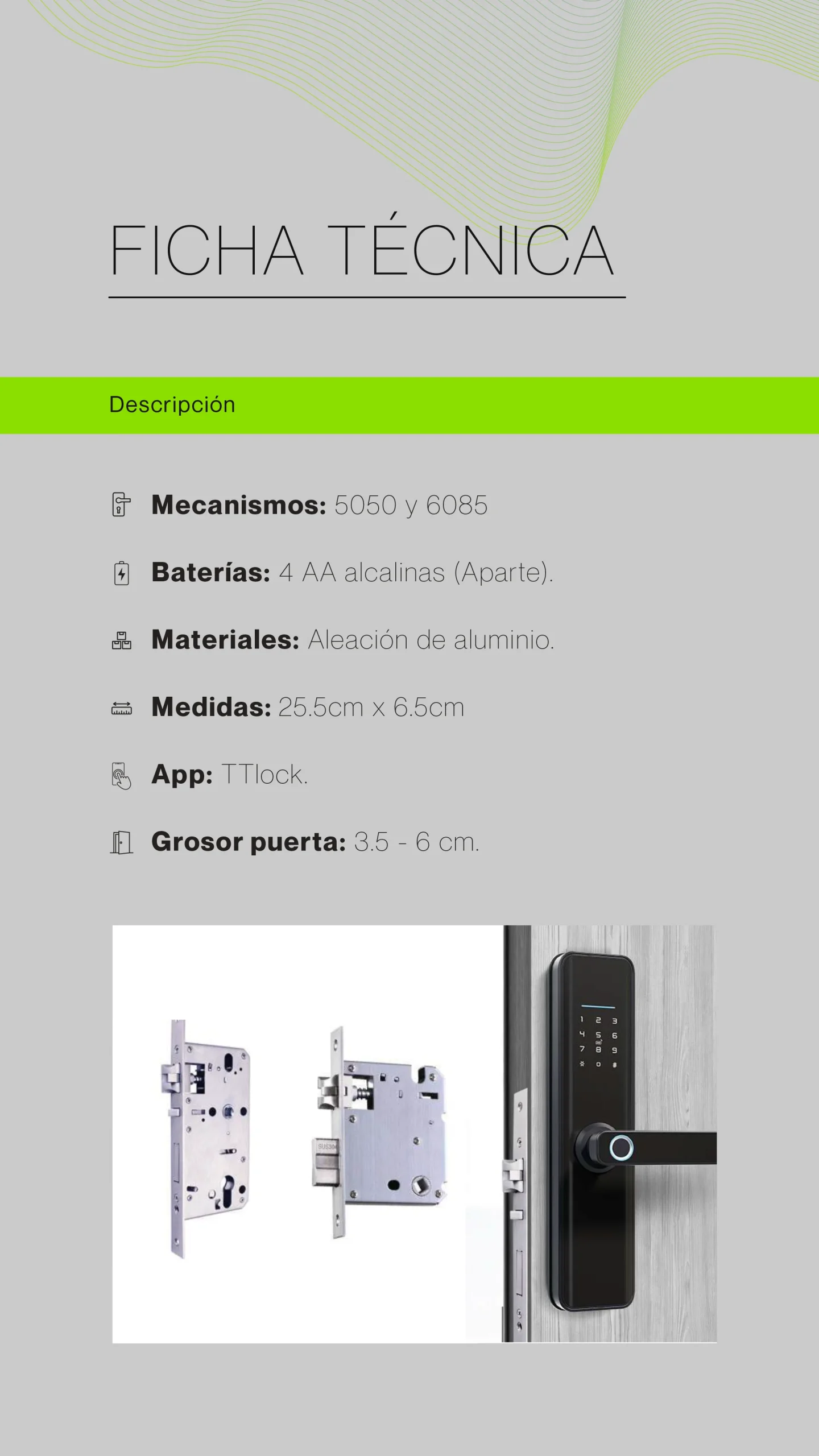 Ficha técnica OL 06