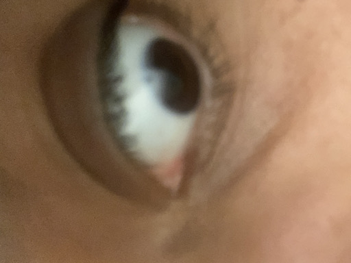 @u55257160