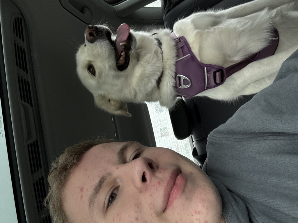@doge
