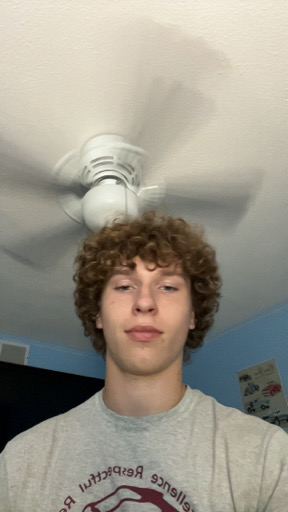 @zankrelij
