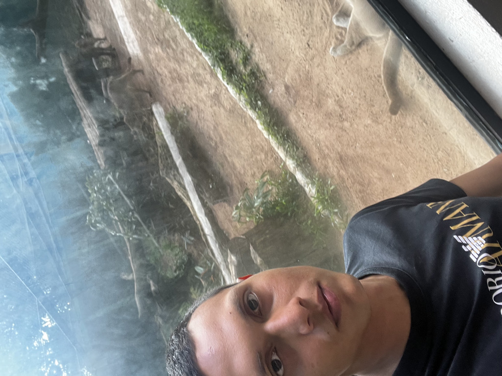 @vtvyvyby from Brazil