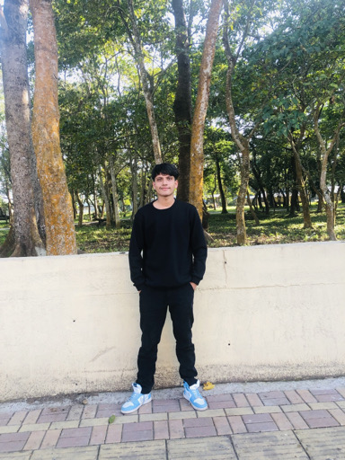 @u95238672