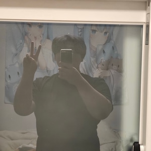 @u66693217