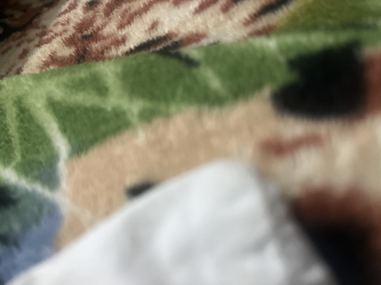 @u88258314