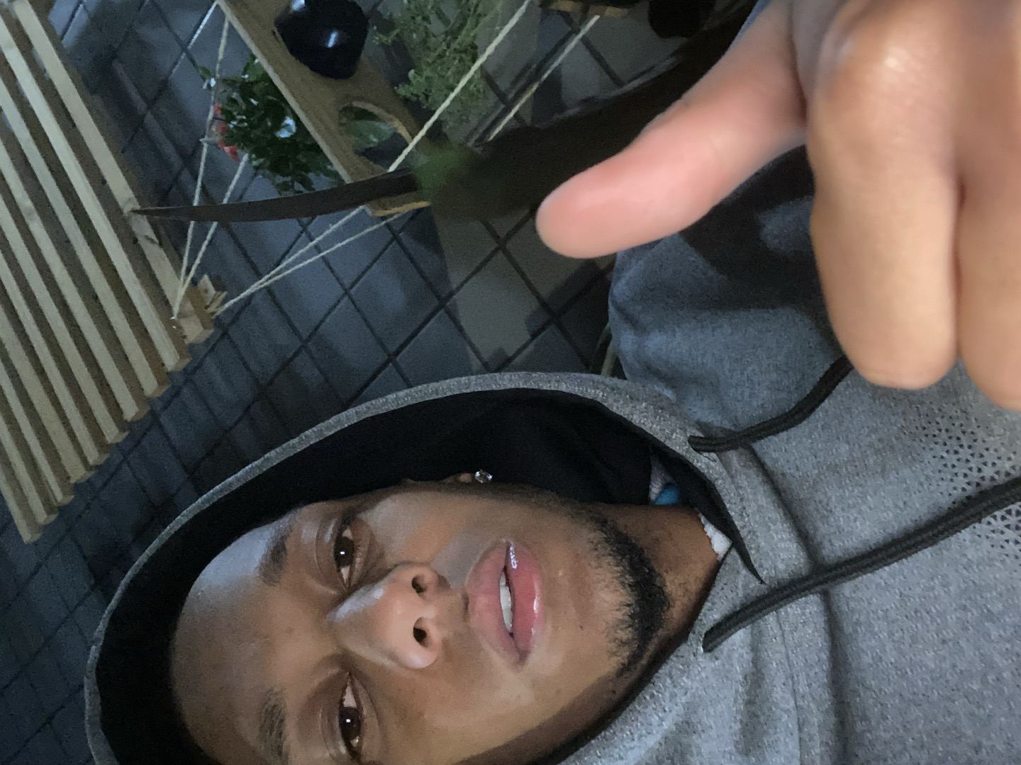 @pedromaia069