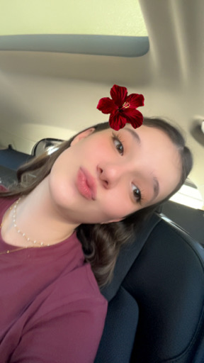 @facciozin028