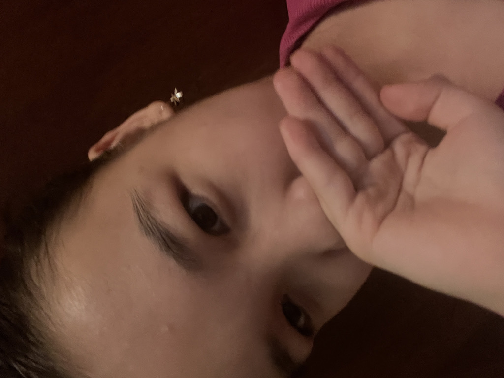 @ayanadosaly16