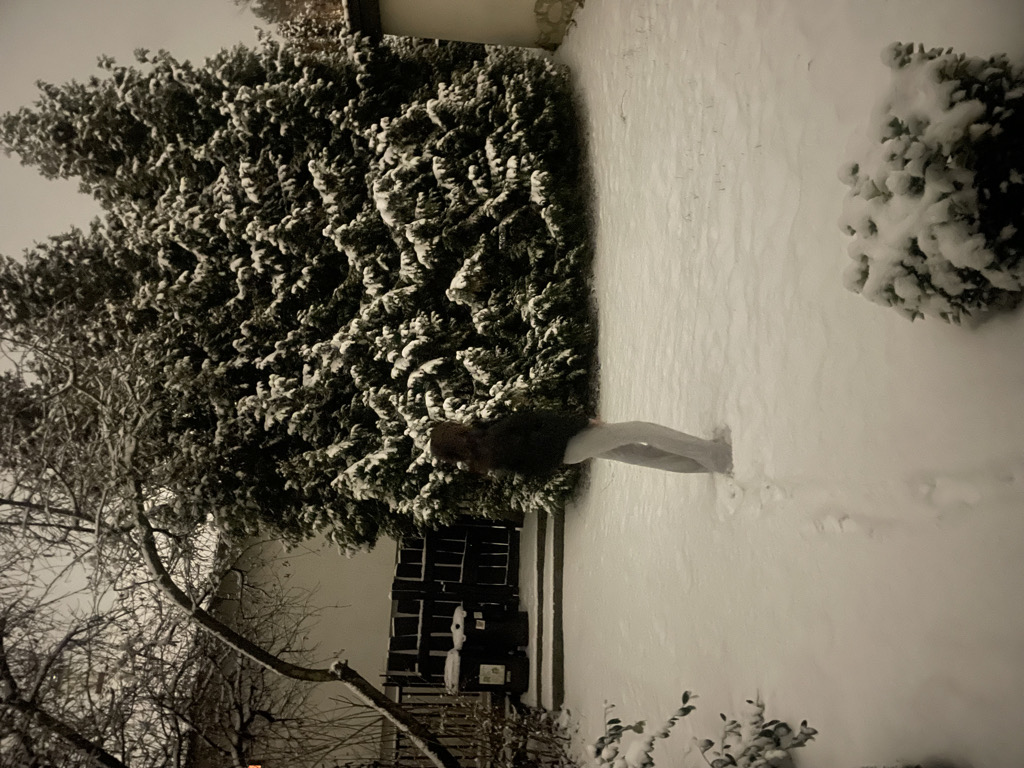@luca12345689 from Hungary