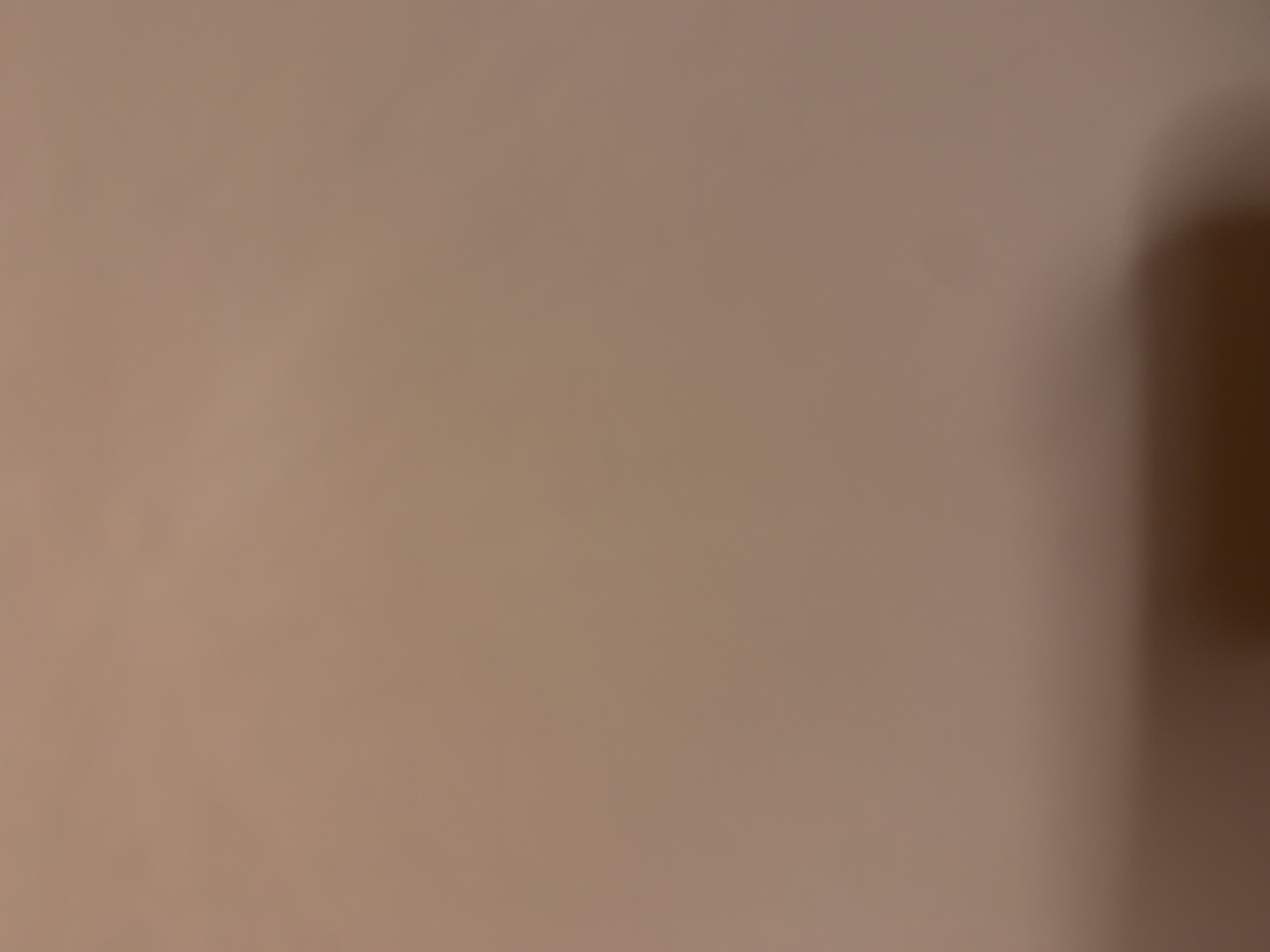 @u19891196