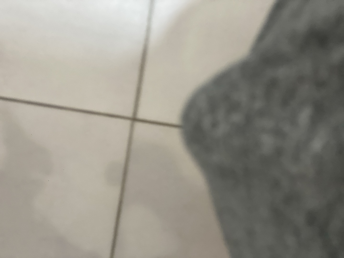 @u83784110
