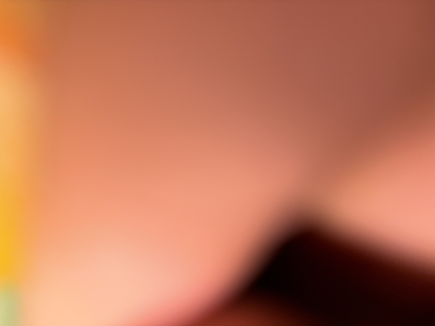 @film5521
