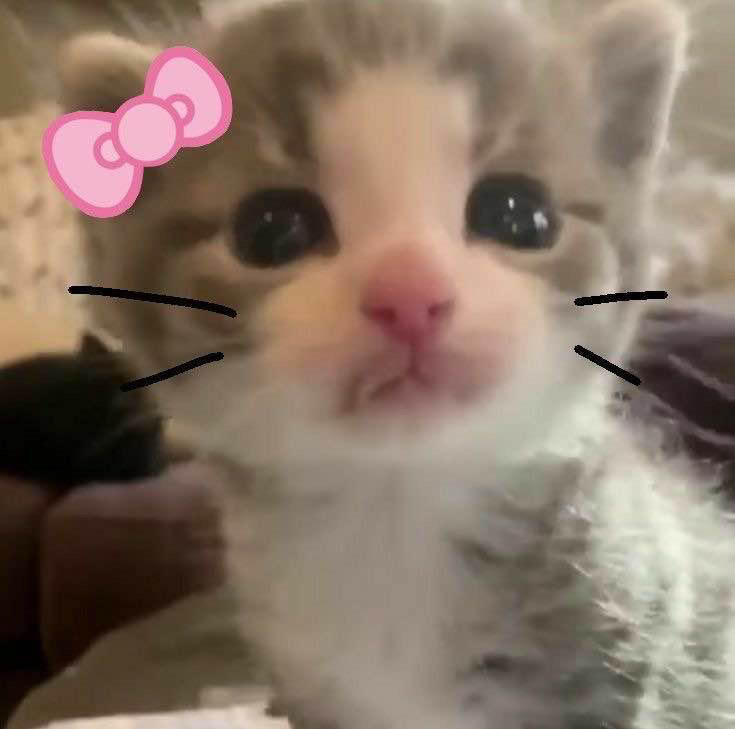 @u77934308
