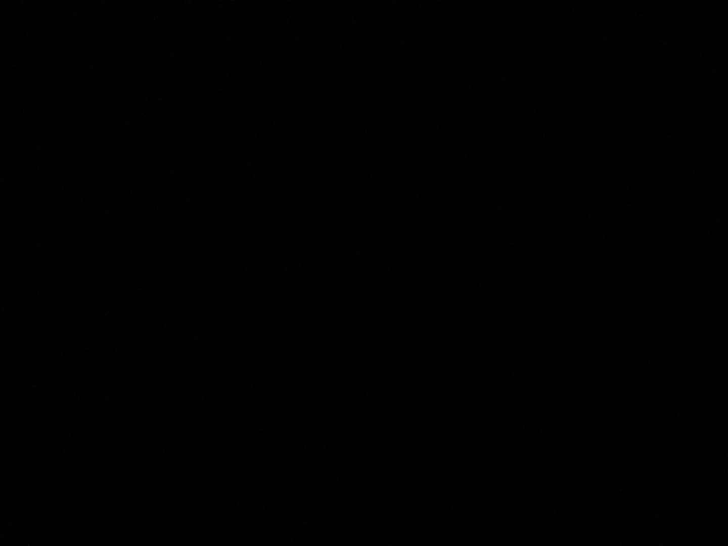 @u44156913