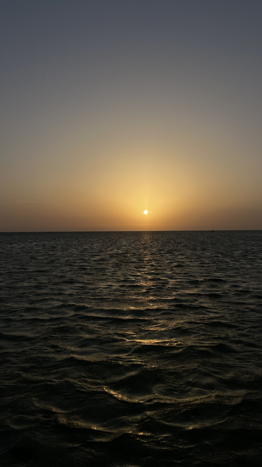 @talal_67