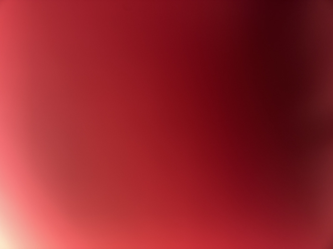 @u83355535
