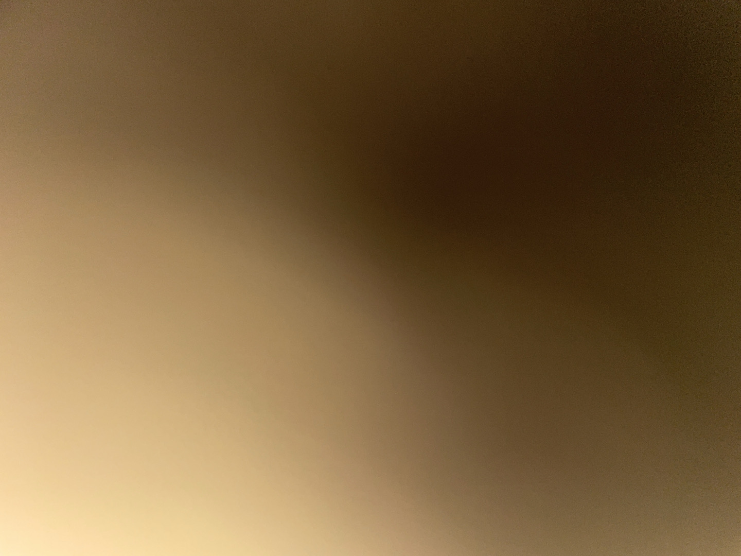 @u95884121