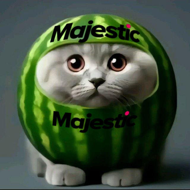 @u55346575