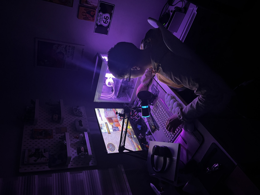 @u12388919