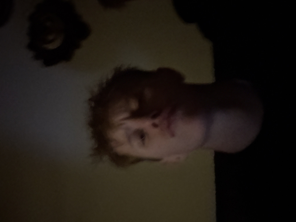 @thaislove6years from Denmark