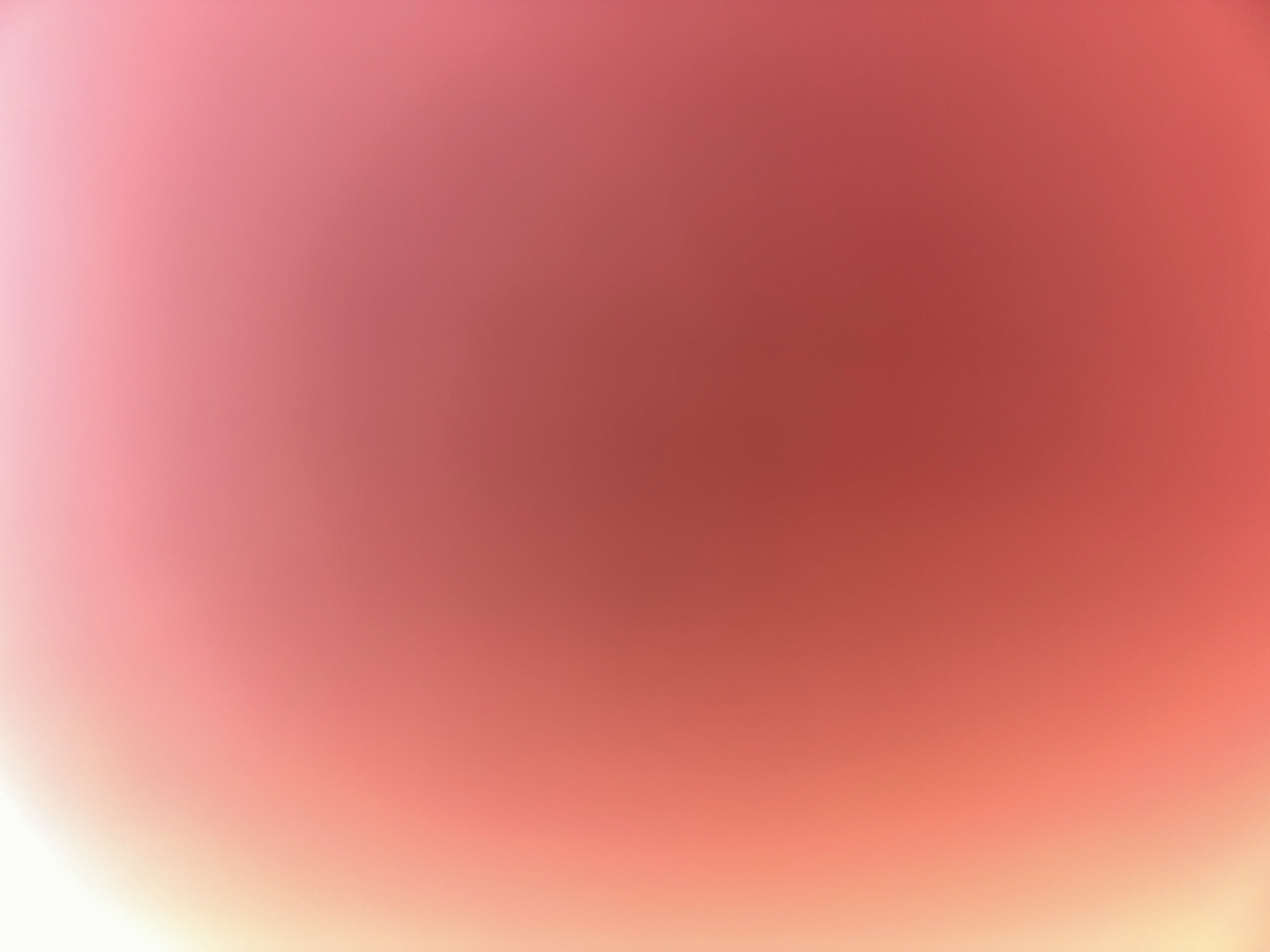@u61562273