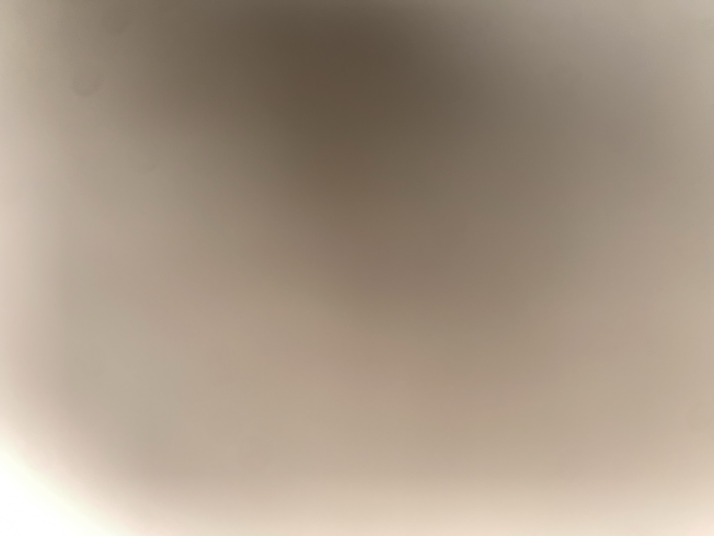 @u55716245