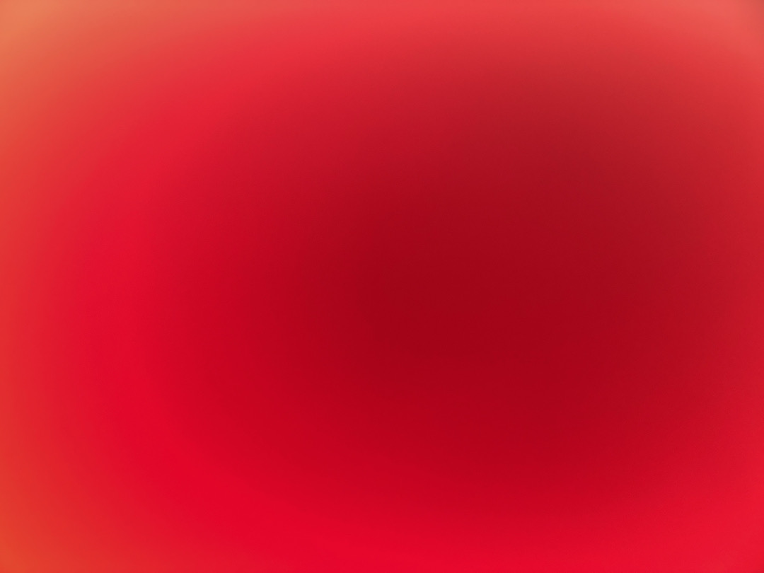 @u53778677