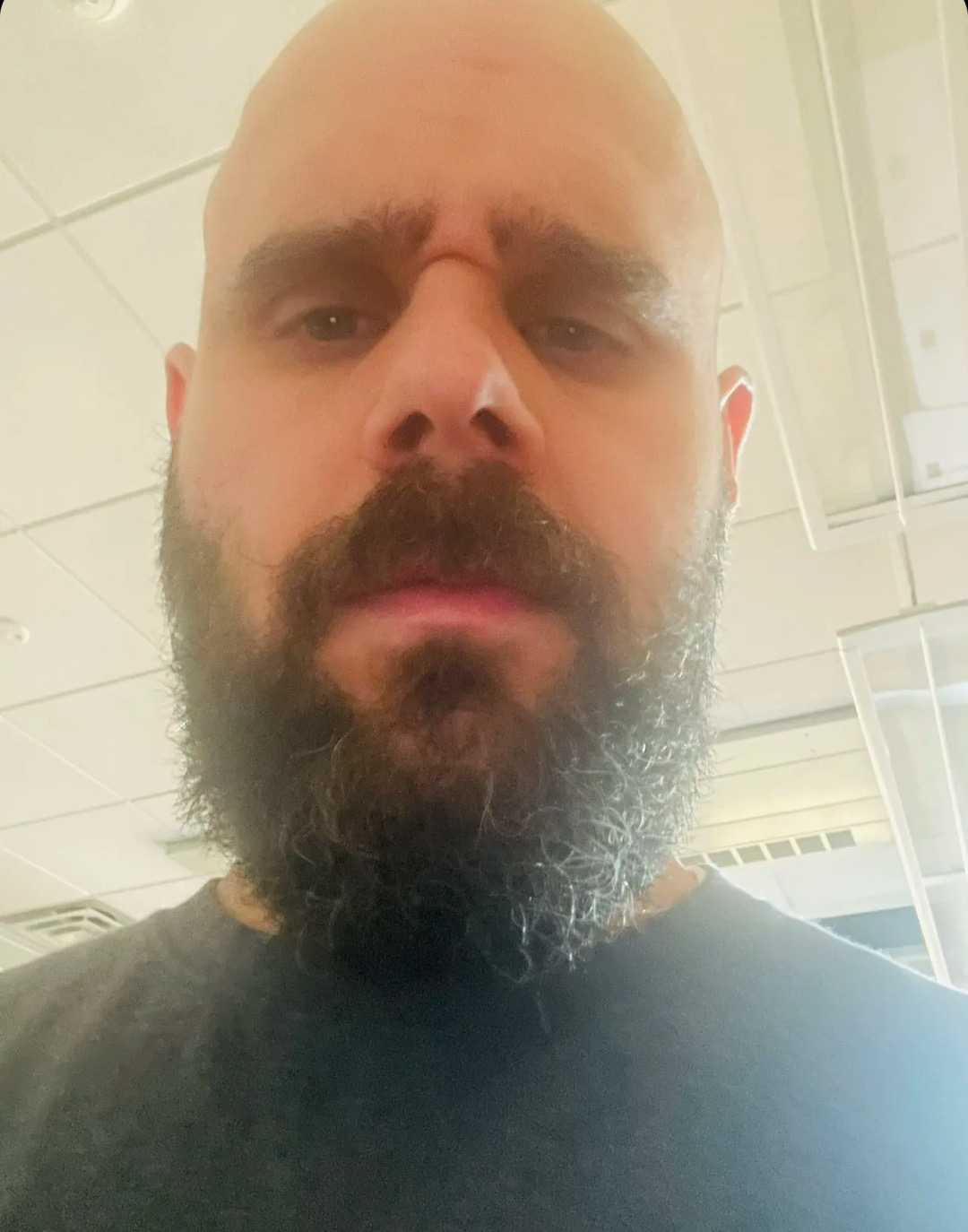 @davidzilla
