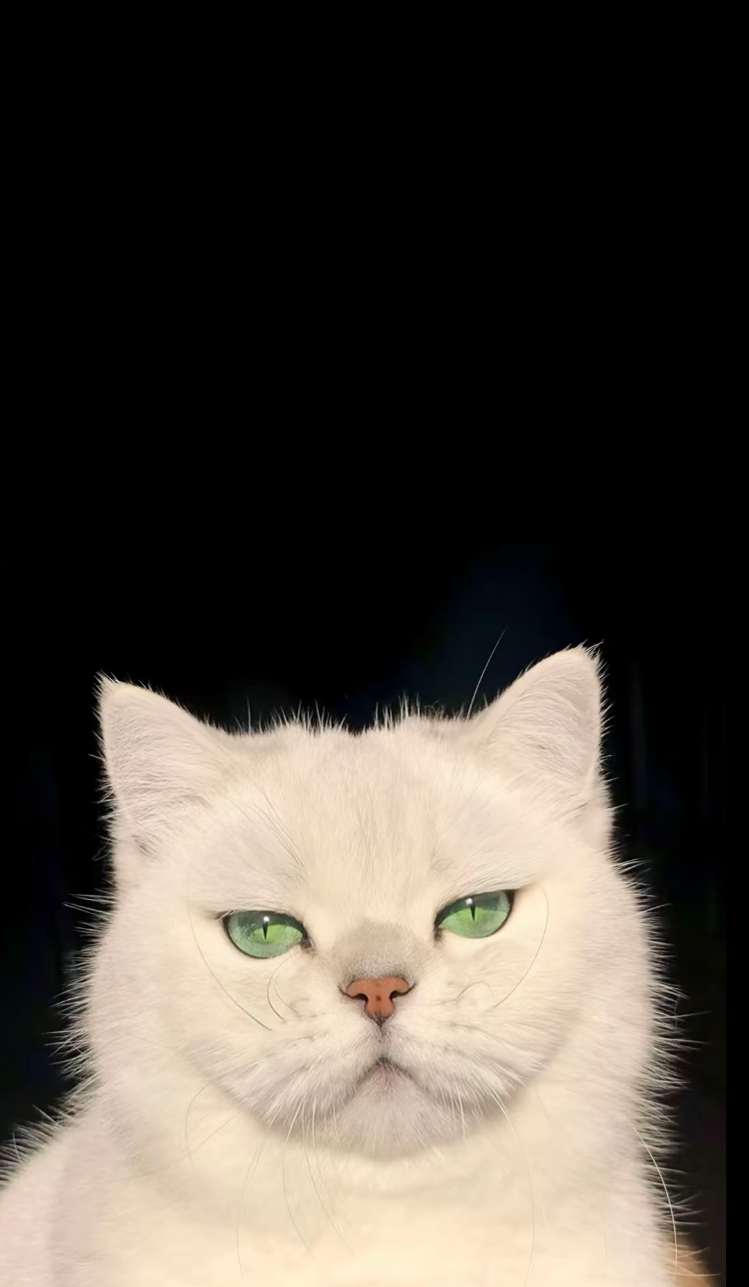 @u59247697