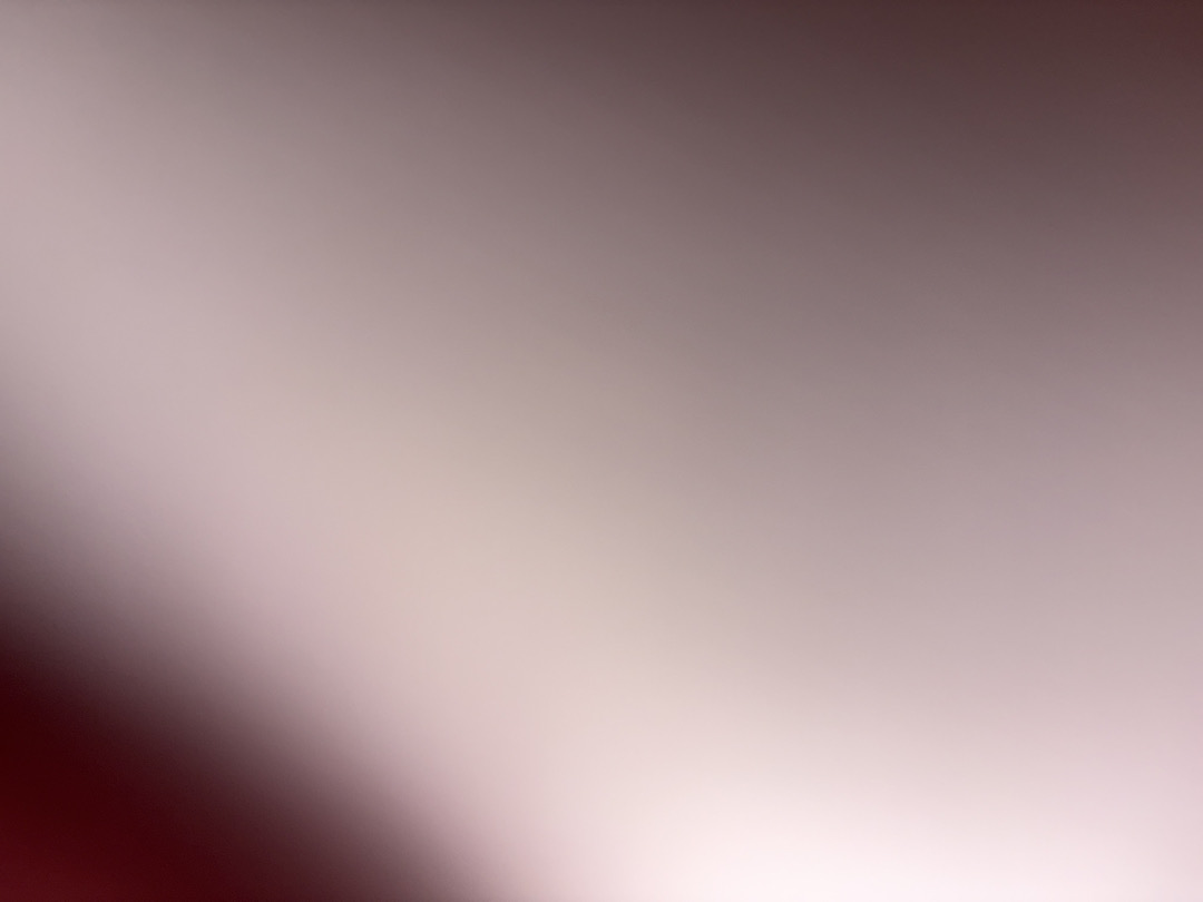 @u78561116