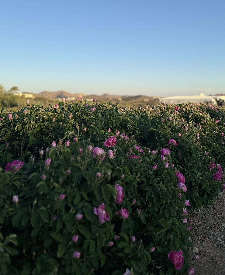 The most beautiful places in Oman