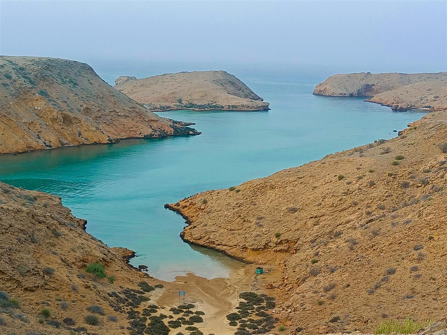 Dolphin Watching & Bandar Khayran Snorkeling