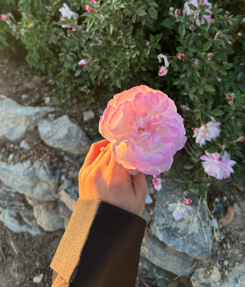 Oman for the Solo Female Explorer