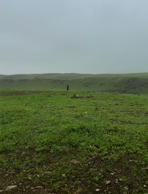 The "Khareef" Monsoon Expedition: Salalah