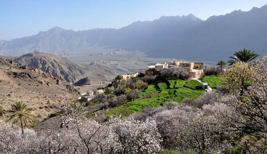 The Omani Almanac: A Guide to the Sultanate’s Magical Seasons