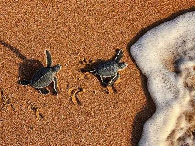 Sustainable Travel and Leave No Trace in Oman